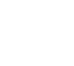 Carrefour-logo